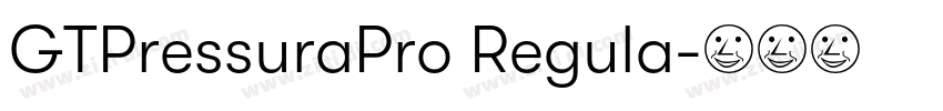 GTPressuraPro Regula字体转换